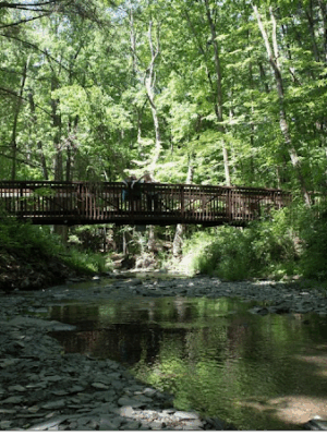 Shale Hollow Park