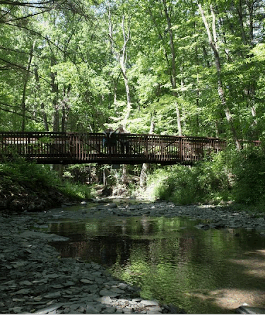 Shale Hollow Park