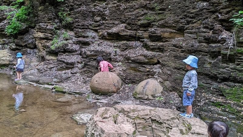 Shale Hollow Park - Delaware, OH