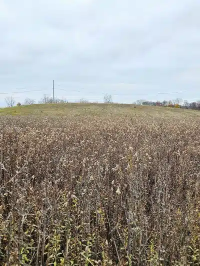 Smith Park - Delaware, OH