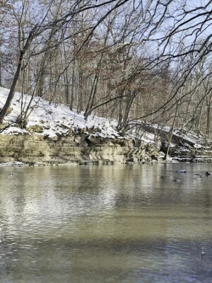 Sycamore Run Park