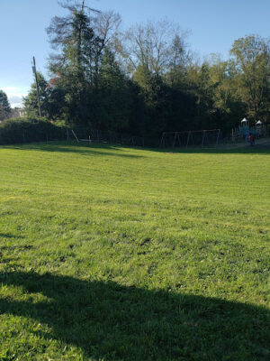 Dellroy Community Park