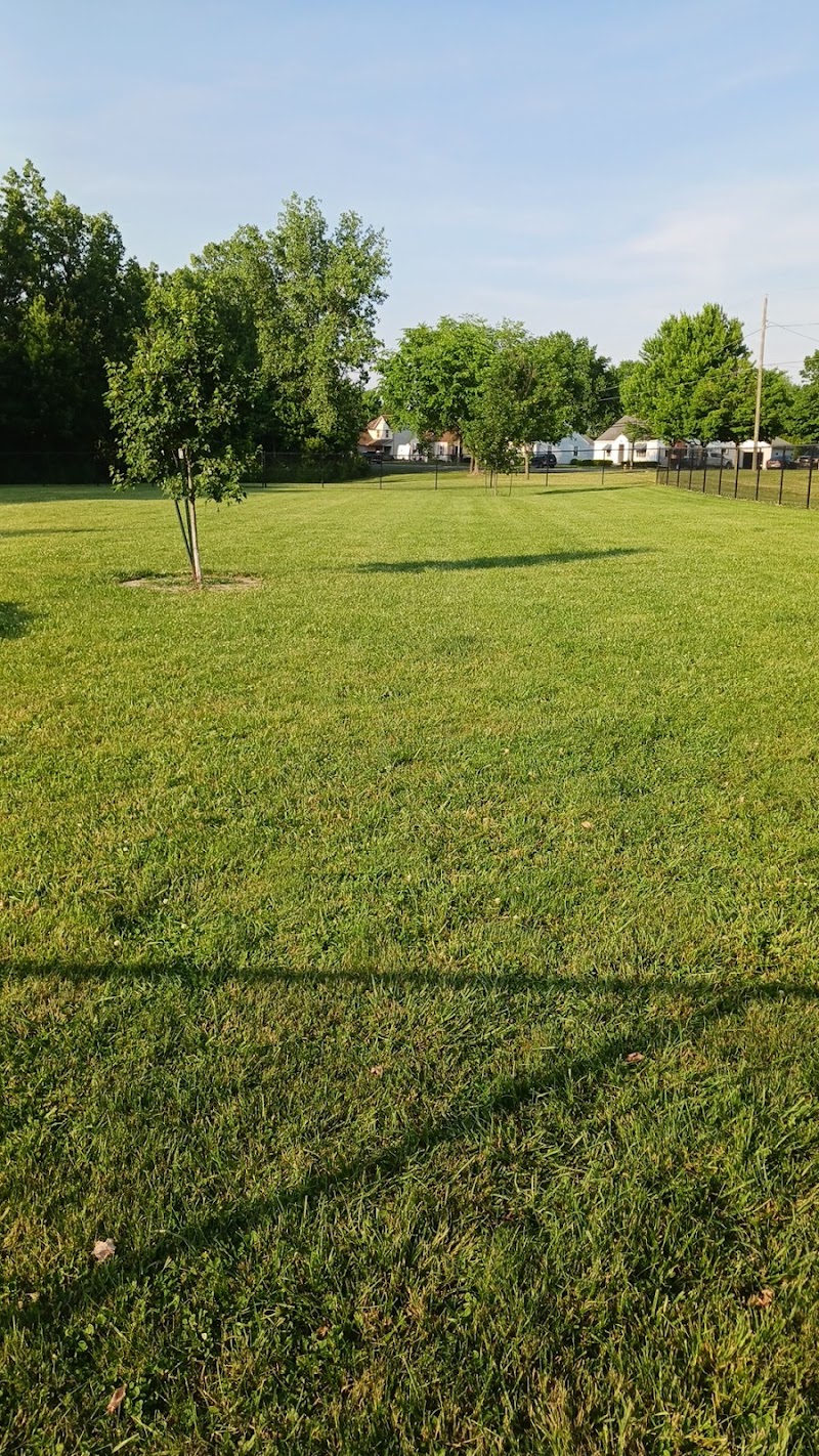 Bev's Dog Run - Delphos, OH