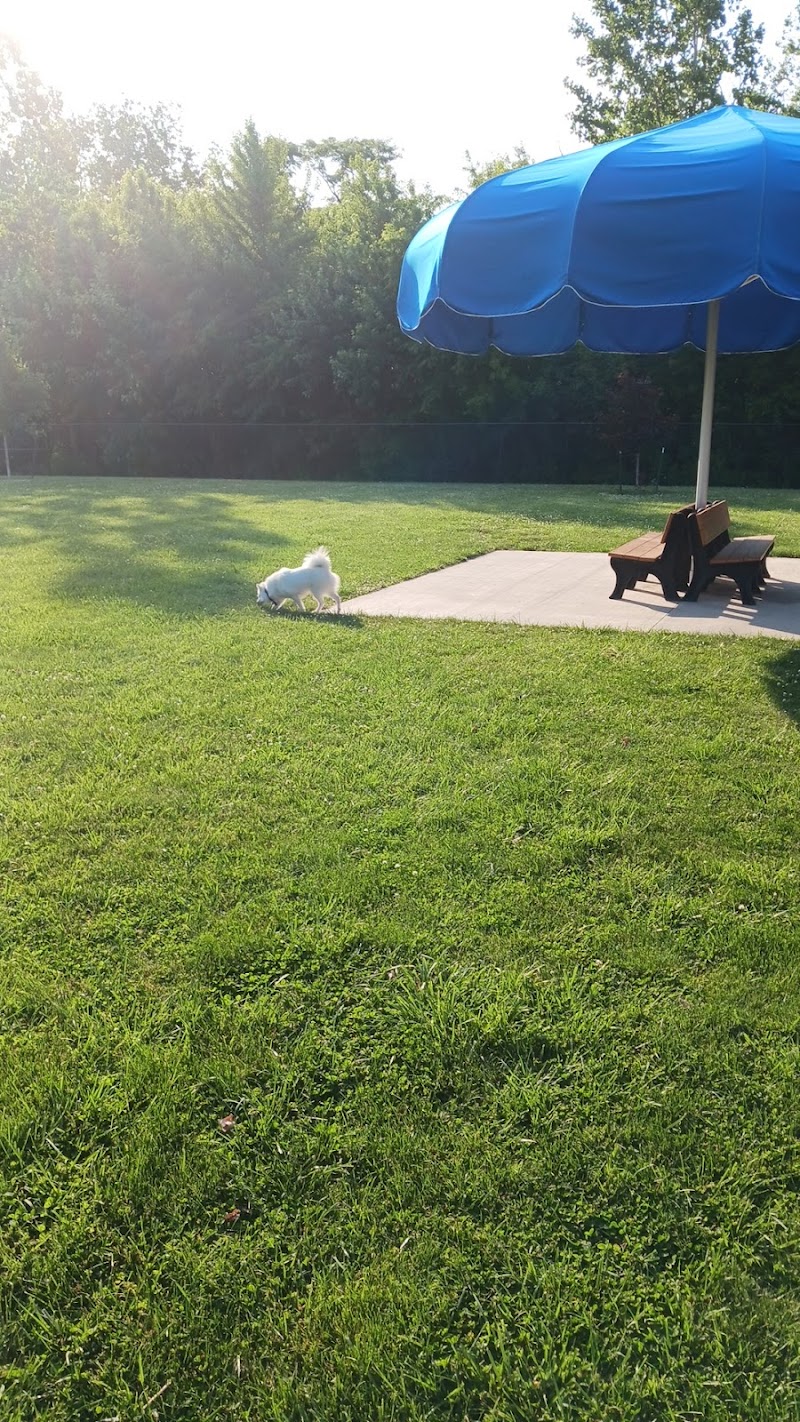 Bev's Dog Run - Delphos, OH