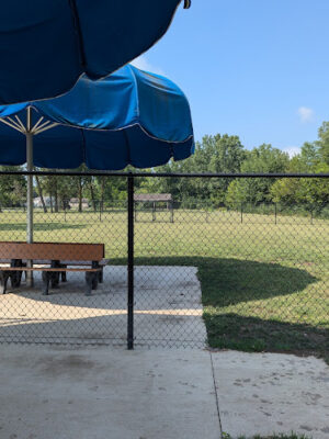 Bev's Dog Run