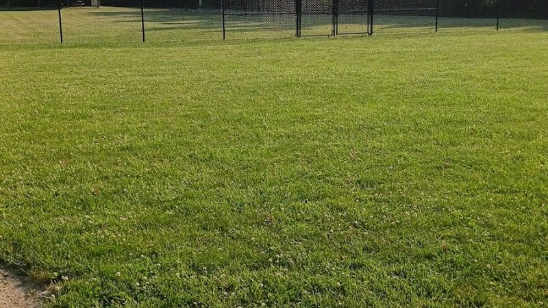 Bev's Dog Run - Delphos, OH
