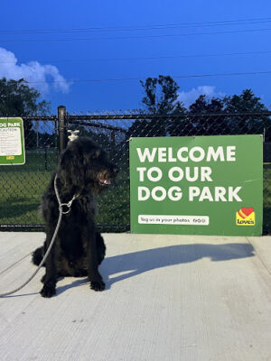 Dog Park at Love's Travel Stops