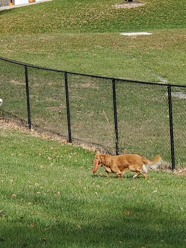 Denison Dog Park