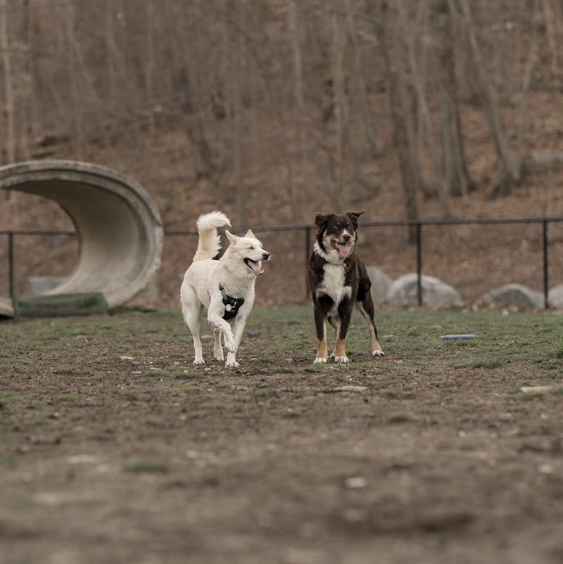 Derby & Ansonia Dog Park - Derby, CT