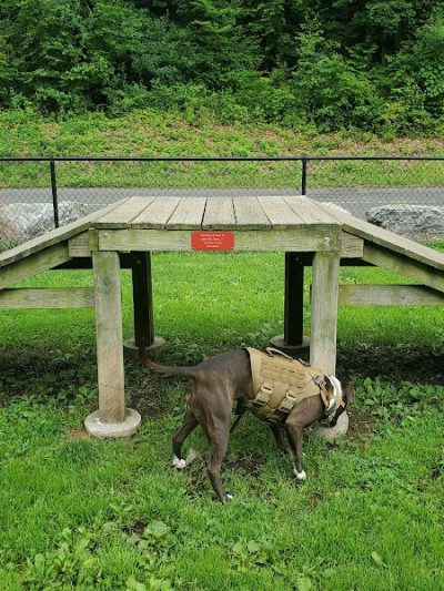 Derby & Ansonia Dog Park - Derby, CT
