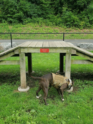 Derby & Ansonia Dog Park