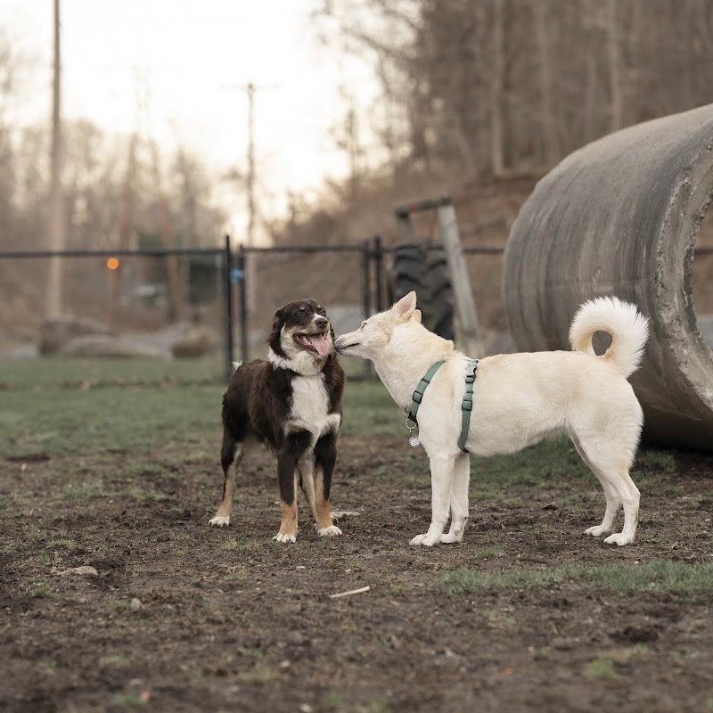 Derby & Ansonia Dog Park - Derby, CT