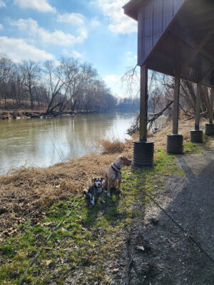 Canal Lands Park
