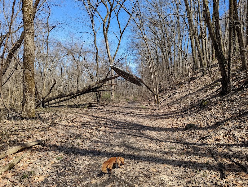 Canal Lands Park - Dover, OH