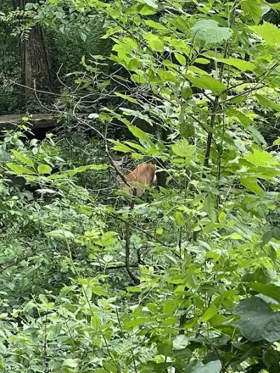 Canal Lands Trailhead Parking - Dover, OH