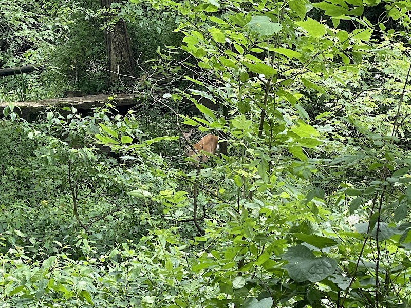 Canal Lands Trailhead Parking - Dover, OH