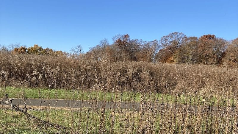Doylestown Township Parks & Recreation - Doylestown, PA