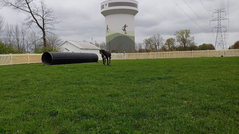 Darree Fields Dog Park - Dublin, OH