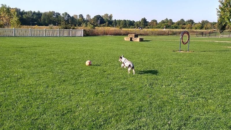 Darree Fields Dog Park - Dublin, OH
