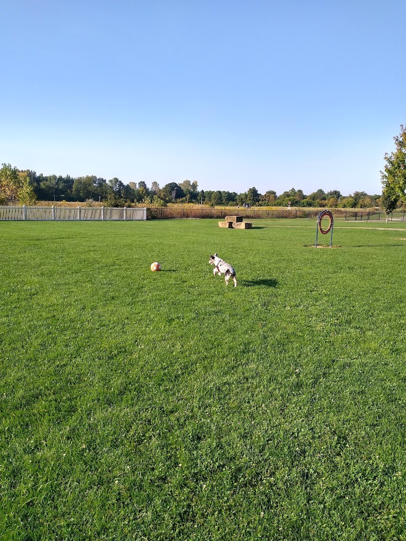 Darree Fields Dog Park - Dublin, OH