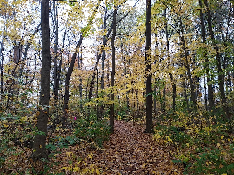 Darree Fields Dog Park - Dublin, OH