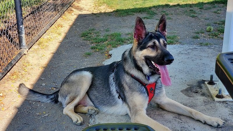 Darree Fields Dog Park - Dublin, OH
