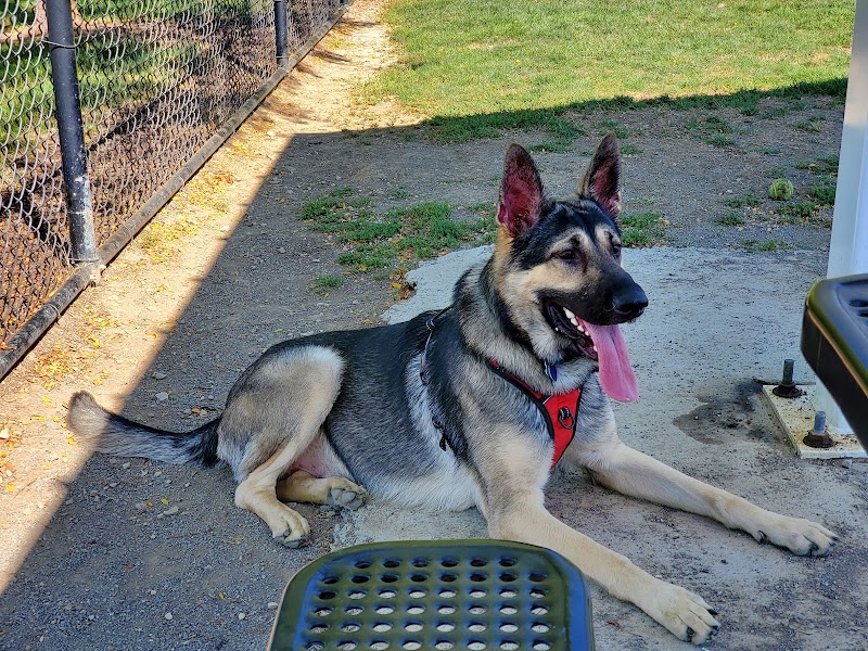 Darree Fields Dog Park - Dublin, OH