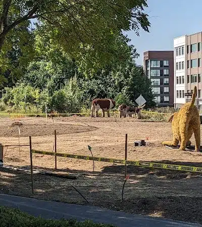 Dog Statues park - Dublin, OH