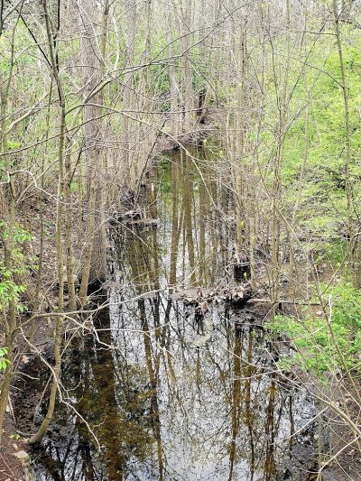 Dublinshire Park - Dublin, OH
