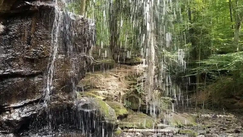 Beach City Wildlife Area - Dundee, OH