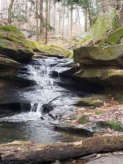 Beach City Wildlife Area - Dundee, OH