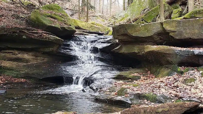 Beach City Wildlife Area - Dundee, OH