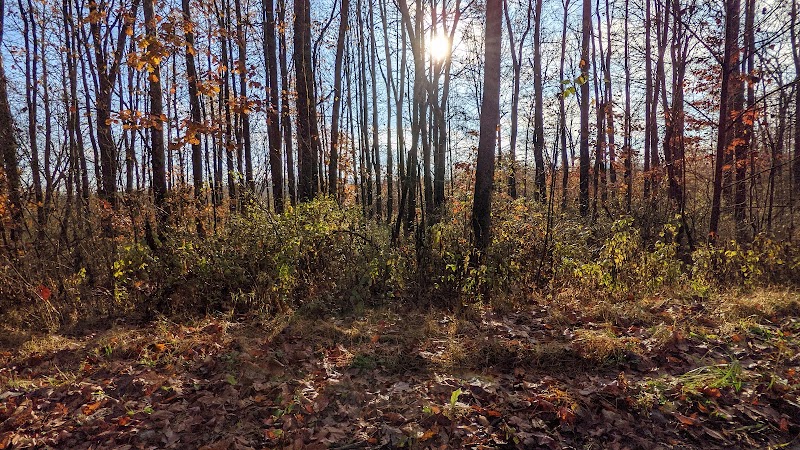 Beach City Wildlife Area - Dundee, OH