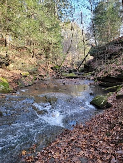 Beach City Wildlife Area - Dundee, OH