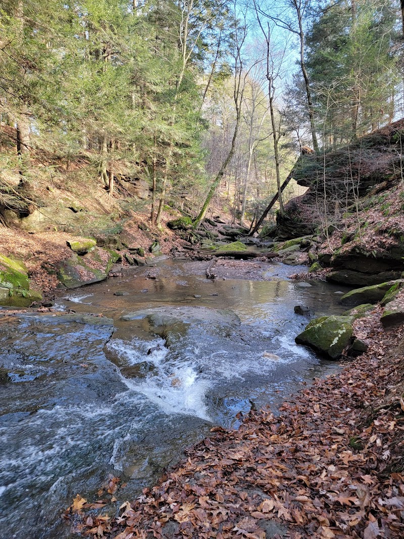 Beach City Wildlife Area - Dundee, OH