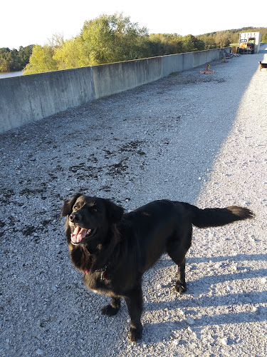 Beach City Wildlife Area