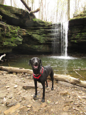 Dundee Falls