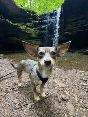 Dundee Falls Trailhead