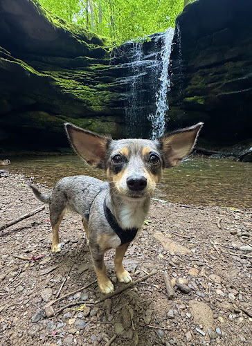 Dundee Falls Trailhead
