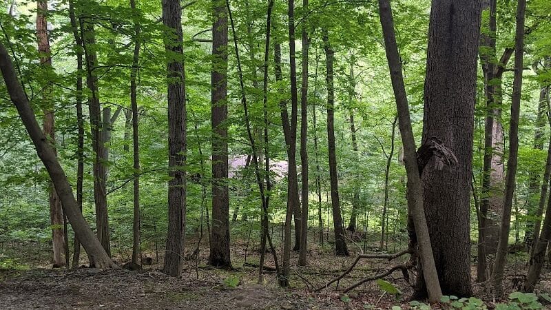 Thompson Park - East Liverpool, OH