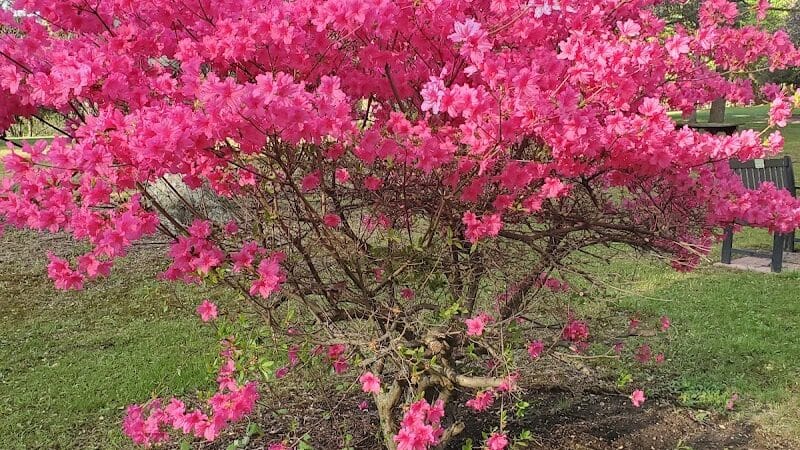 Thompson Park - East Liverpool, OH