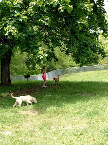 East Palestine City Park