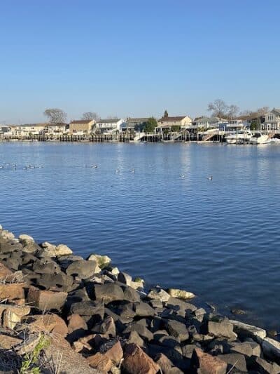 Bay Park Dog Park - East Rockaway, NY