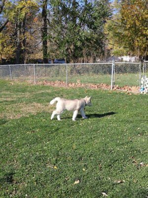 Woodland Park