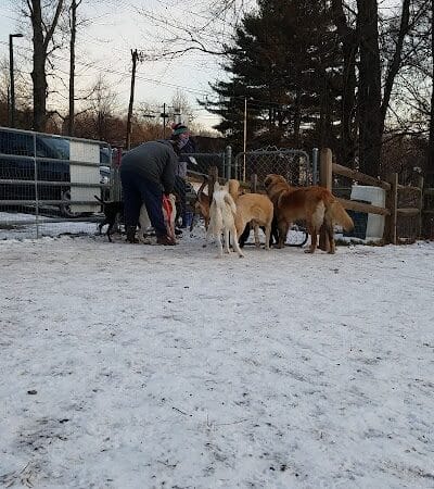 Easton Dog Park - Easton, CT