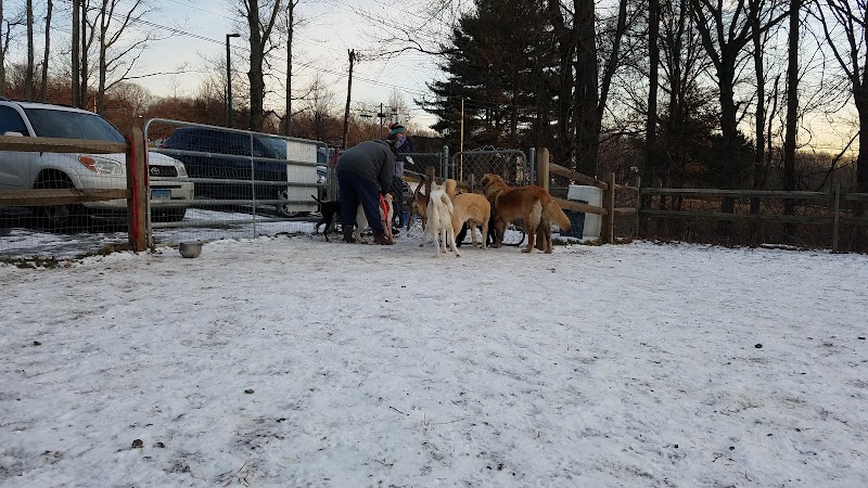 Easton Dog Park - Easton, CT