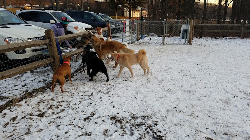 Easton Dog Park - Easton, CT