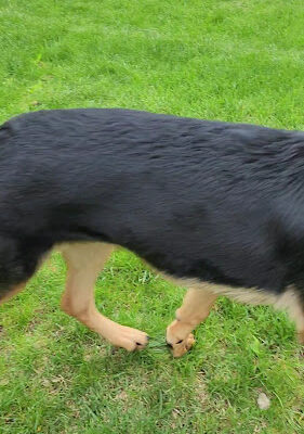 Eaton Bark Park