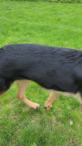 Eaton Bark Park