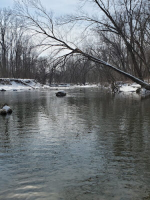 Black River Reservation